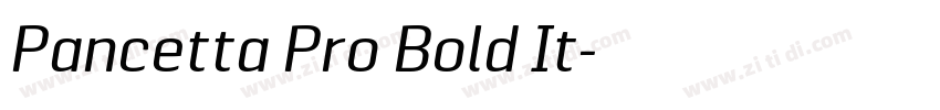 Pancetta Pro Bold It字体转换